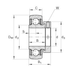 FAG Spannlager - RAE30-XL-NPP-B