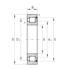 Rolando SL183036 INA