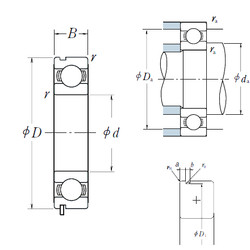 Bantalan 6318N NSK