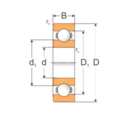 Bantalan 6314 MPZ