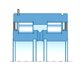 Bantalan SL04-5024LLN NTN