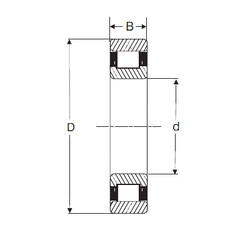 Bantalan RXLS 7E SIGMA