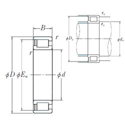 Rolando SC050615VC3 KOYO