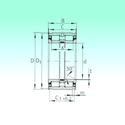 Bantalan SL045052-PP NBS