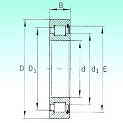 Bantalan SL182219 NBS