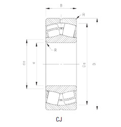 Rolando 24134CJ Timken