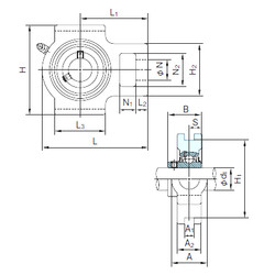 Bantalan UCT311 NACHI