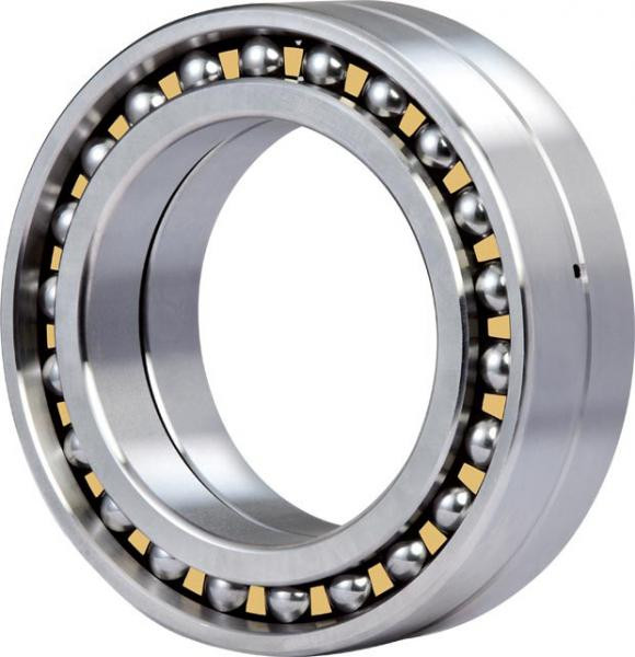 1034L Original famous brands Bower Cylindrical Roller Bearings
