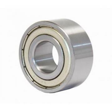 1008X Original famous brands Bower Cylindrical Roller Bearings