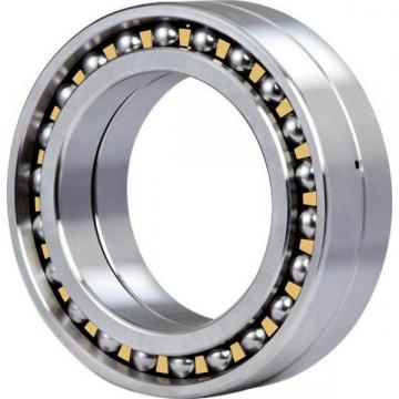 1020LA Original famous brands Bower Cylindrical Roller Bearings