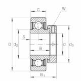 FAG Spannlager - RALE30-XL-NPP-FA106