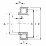 FAG Zylinderrollenlager - NJ206-E-XL-TVP2 + HJ206-E