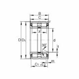 Bantalan SL04130-PP INA