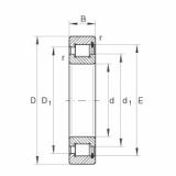 Bantalan SL1818/1000-E-TB INA