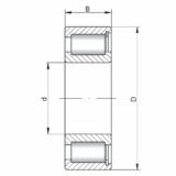 Bantalan SL181852 ISO