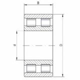 Rolamento NN3021 ISO