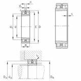 Rolamento NN3006-AS-K-M-SP INA