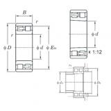 Rolamento NN3005 KOYO