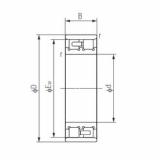 Rolamento NN3006 NACHI