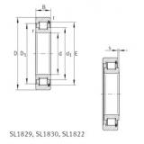 Bantalan SL1818/500-E INA