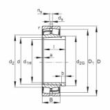 Rolando 24126-E1-K30 + AH24126 FAG