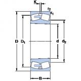 Rolando 248/1120 CAK30FA/W20 SKF