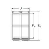 Bantalan K65X73X47ZW MPZ