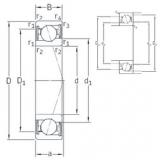 roulements VEB 10 /S/NS 7CE1 SNFA