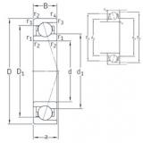 roulements VEB 10 /NS 7CE1 SNFA