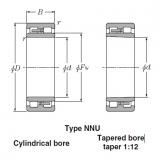 Bearings Cylindrical Roller Bearings NN4938