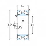 Bearing 600TFD9101